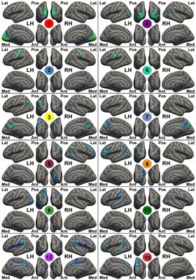 Mind-Body Practice Changes Fractional Amplitude of Low Frequency Fluctuations in Intrinsic Control Networks